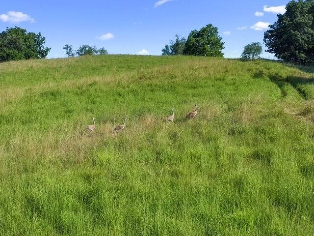 House in Lauderdale Lakes, Wisconsin, United States 3 - 18566297
