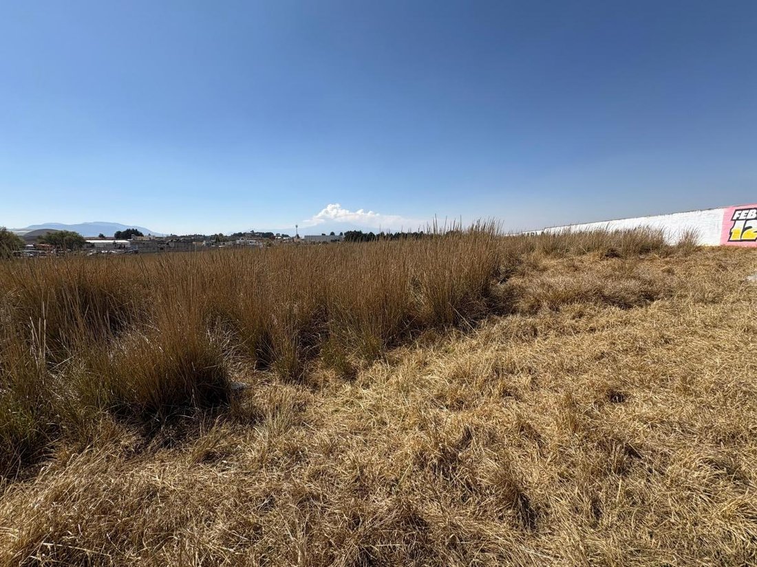 Land in Santiago Tianguistenco, State of Mexico, Mexico 4 - 18560750