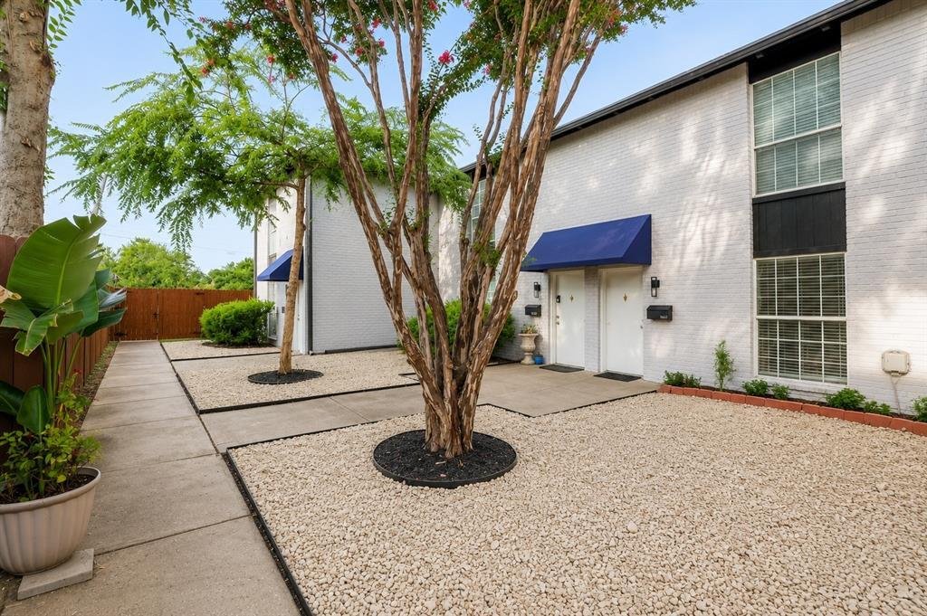 Dallas, Texas, United States 3 - 18559474