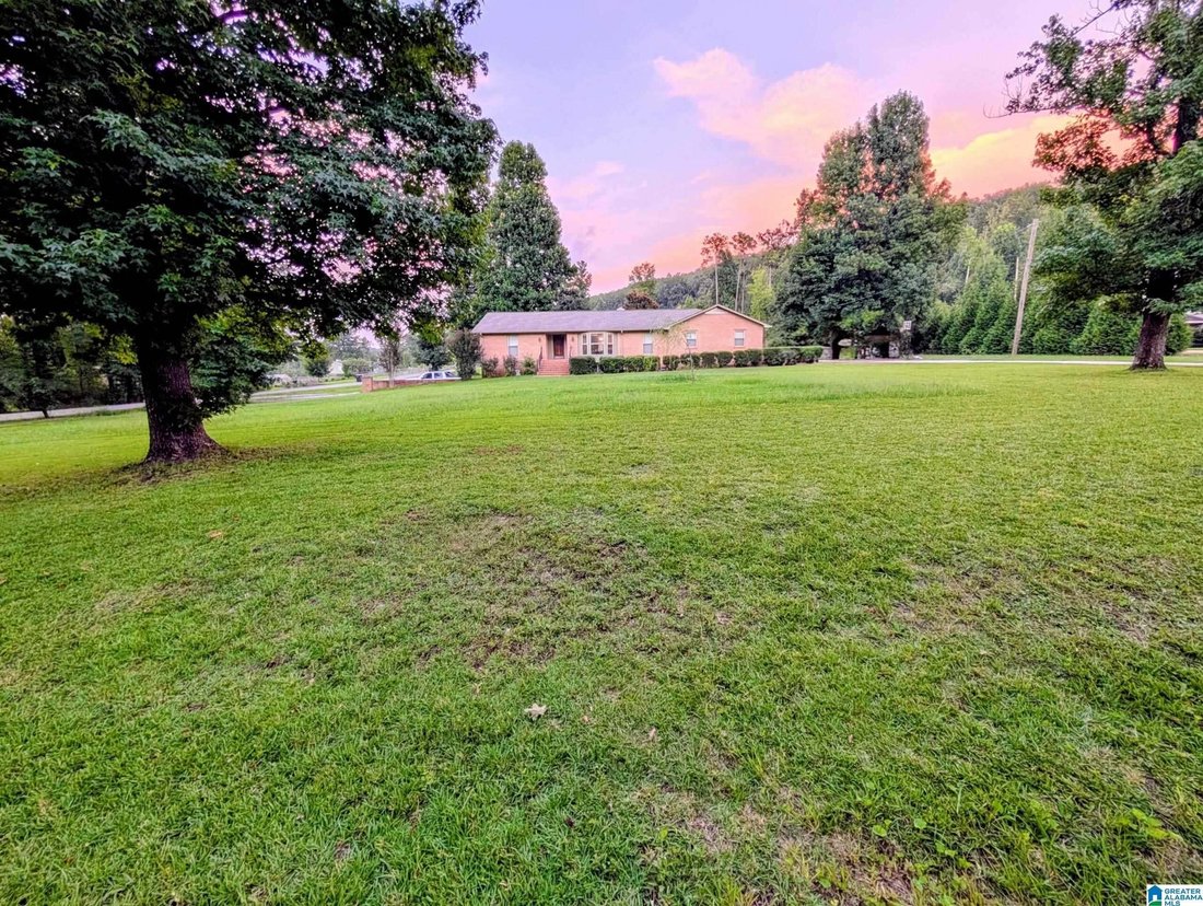 House in Vestavia Hills, Alabama, United States 1 - 18564705