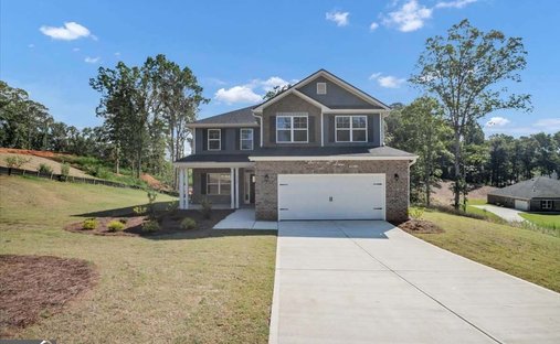 Maison à Douglasville, Géorgie, États-Unis 1