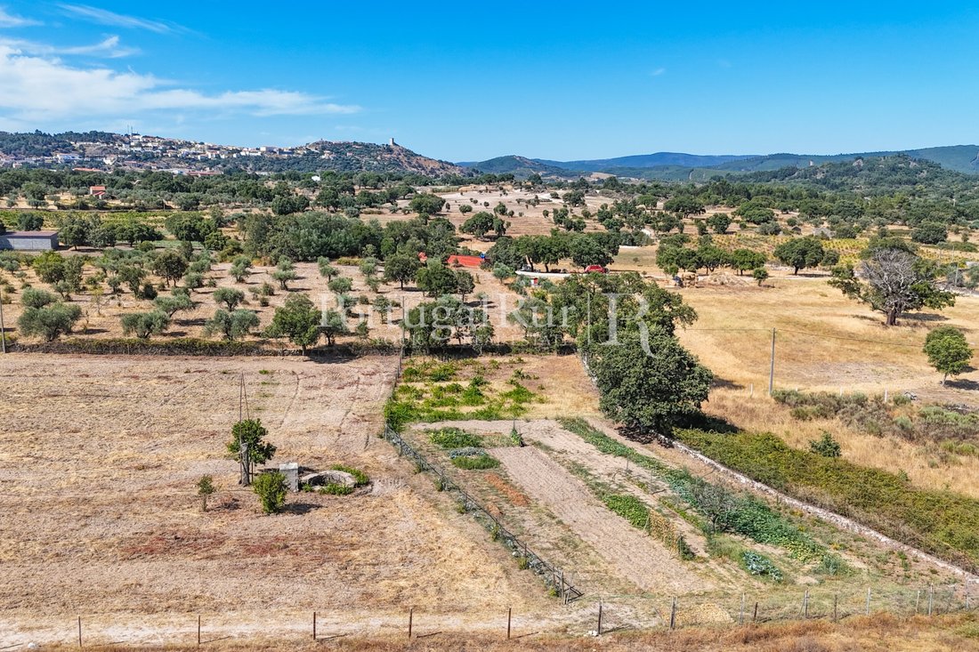 Finca in Penamacor, Castelo Branco District, Portugal 3 - 18560053