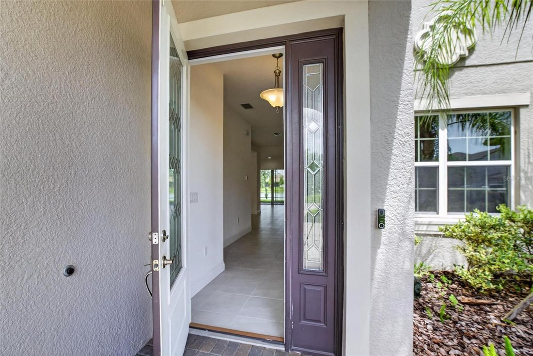 House in Zephyrhills, Florida, United States 2 - 18558607