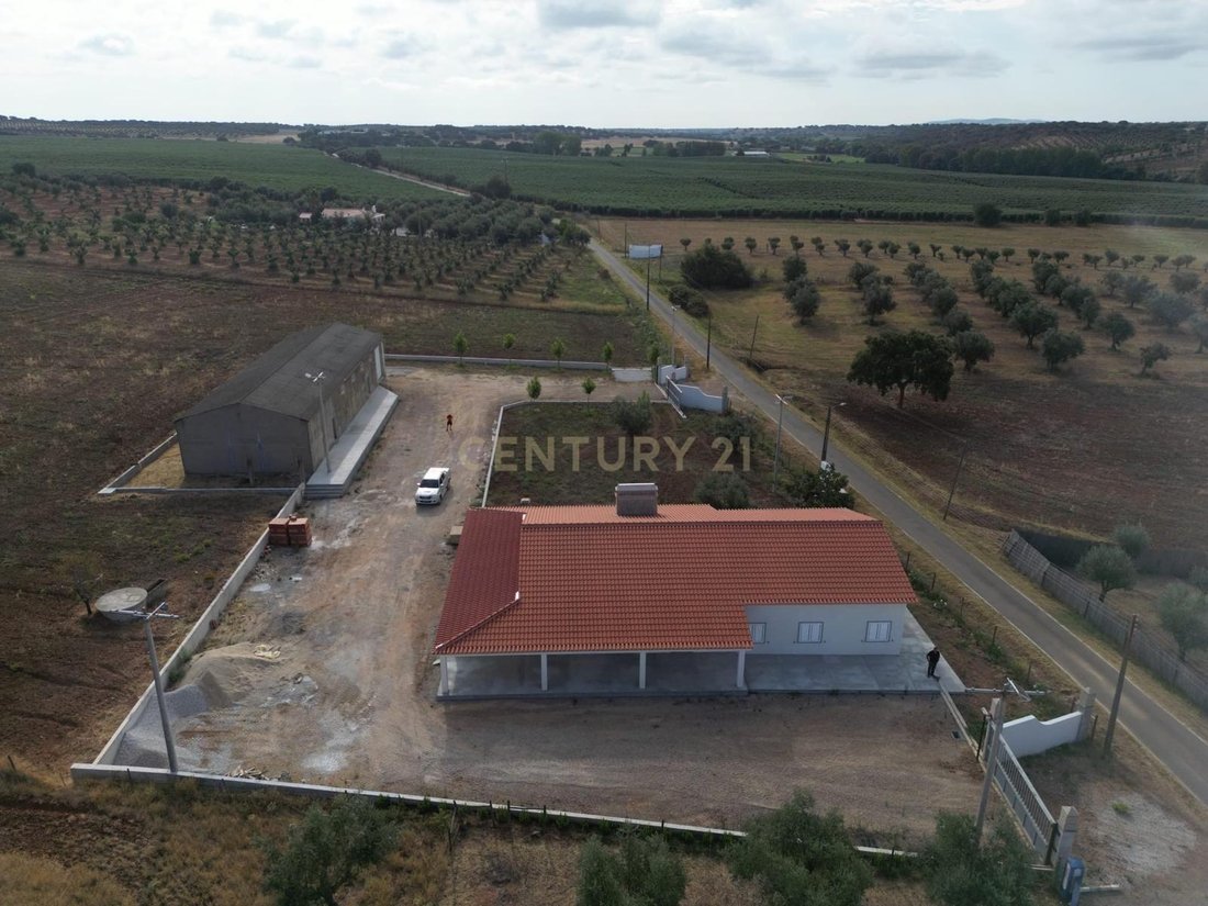Farm Ranch in Avis, Portalegre, Portugal 5 - 18325202