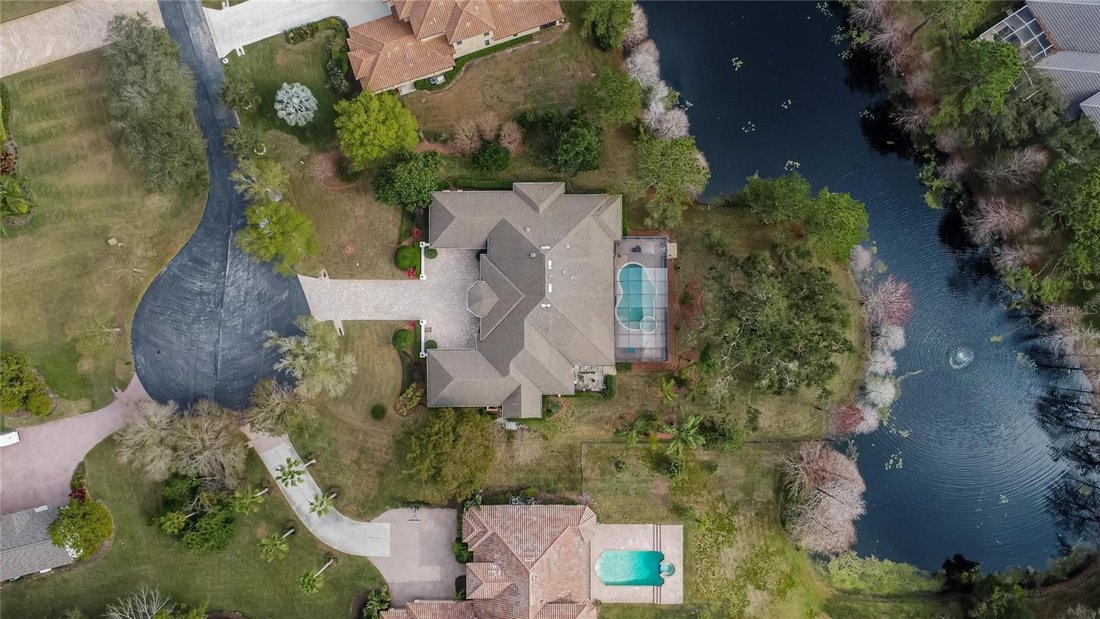 House in Odessa, Florida, United States 4 - 18558631