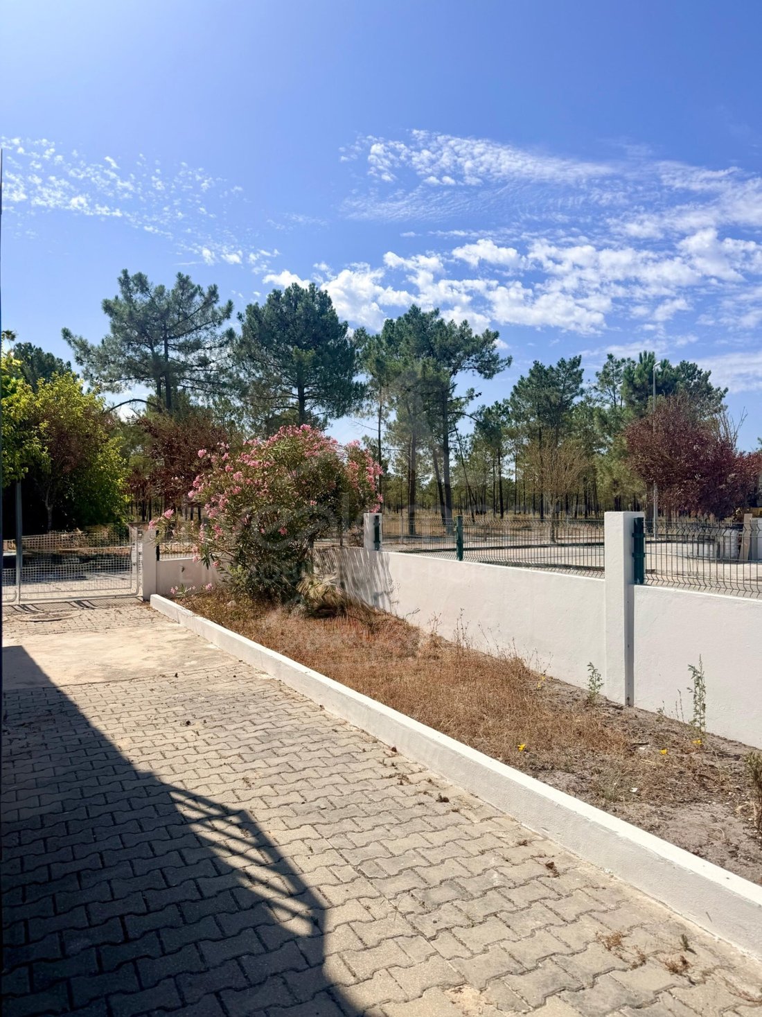 House in Comporta, Setubal, Portugal 1 - 16472592