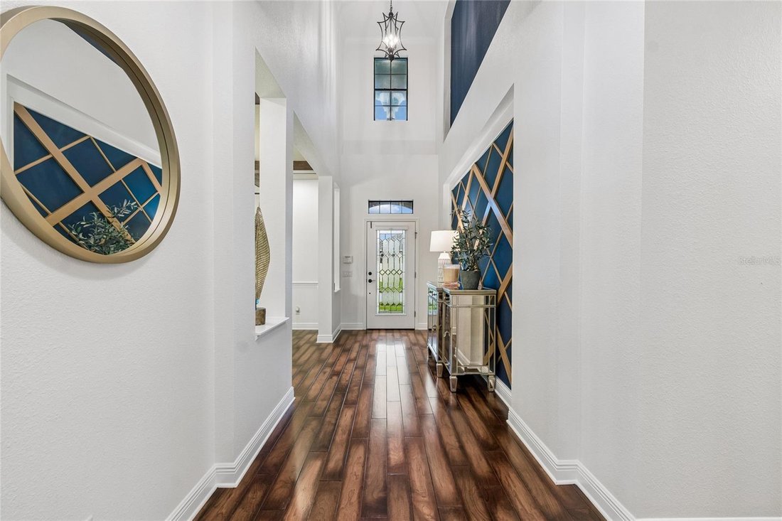 House in Land O' Lakes, Florida, United States 4 - 18565265