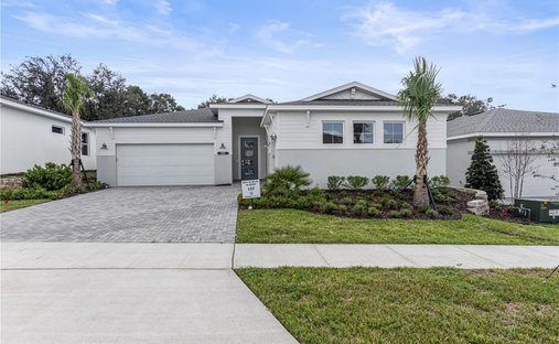 House in The Villages, Florida, United States 1