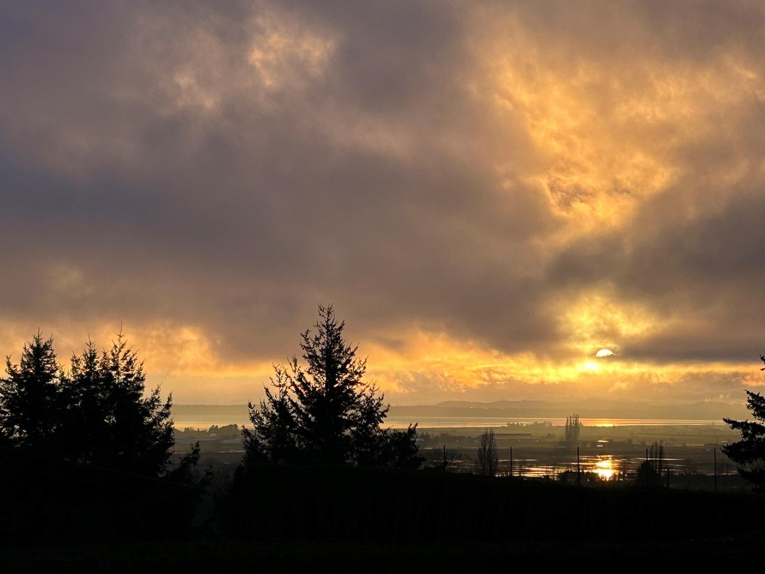 Land in Delta, British Columbia, Canada 4 - 18256993