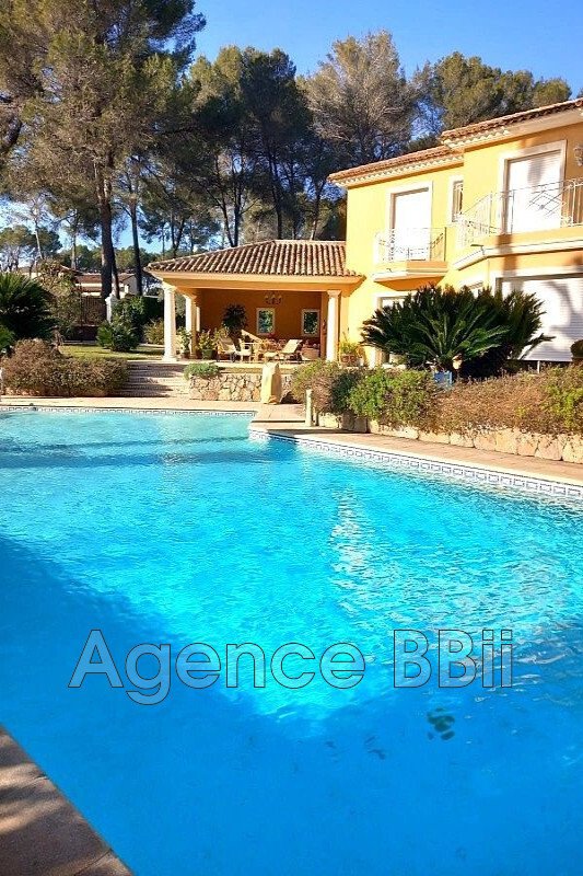 Villa in Mougins, Provence-Alpes-Côte d'Azur, France 1 - 18565737