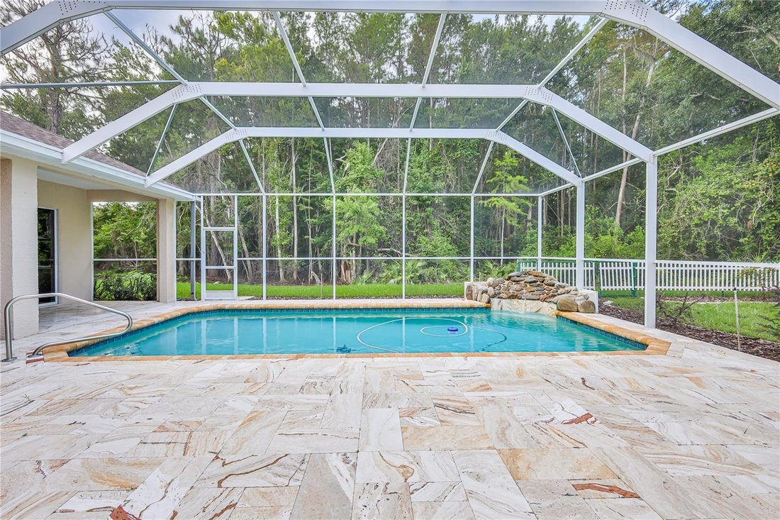 House in New Port Richey, Florida, United States 5 - 18565274