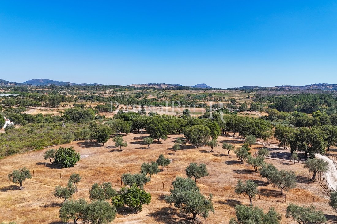 Finca in Penamacor, Castelo Branco District, Portugal 4 - 18560053