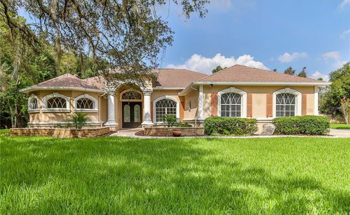 Casa en New Port Richey, Florida, Estados Unidos 1