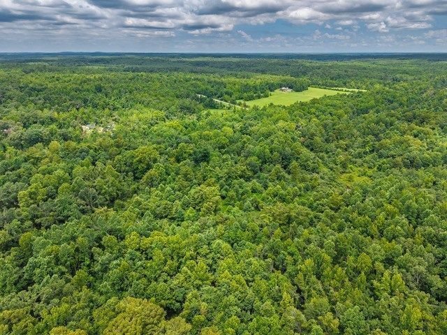 Land in Taylor, Mississippi, United States 4 - 18564168