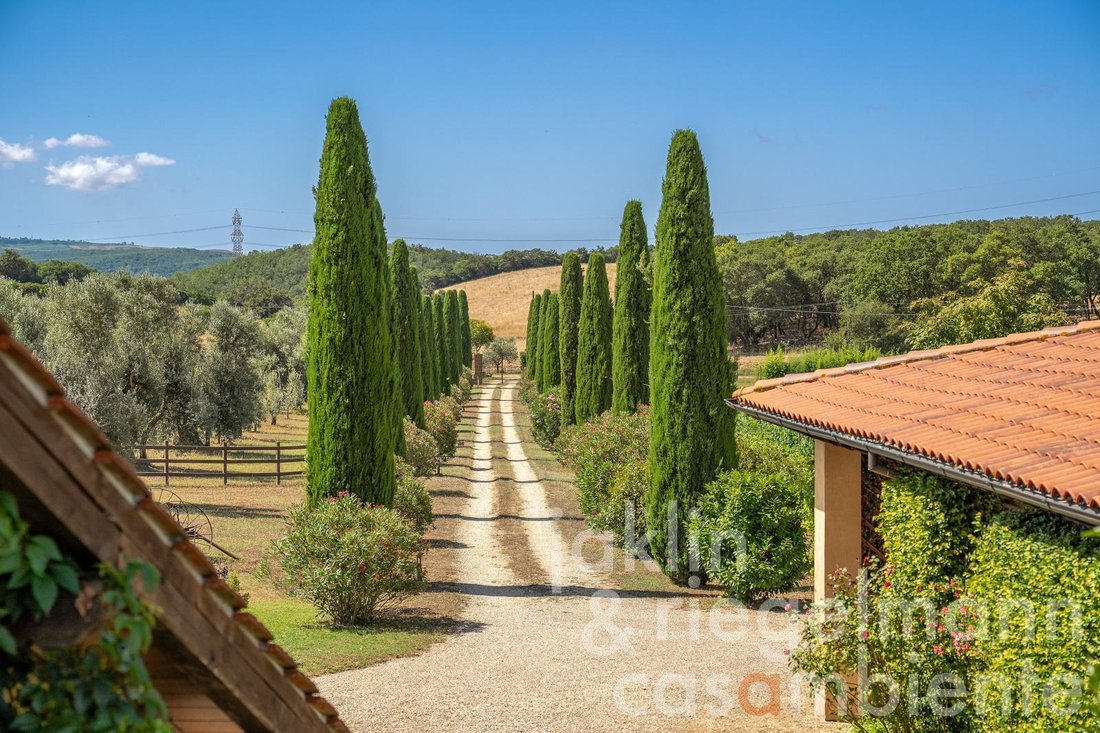 Estate in Tuscania, Lazio, Italy 5 - 18558155