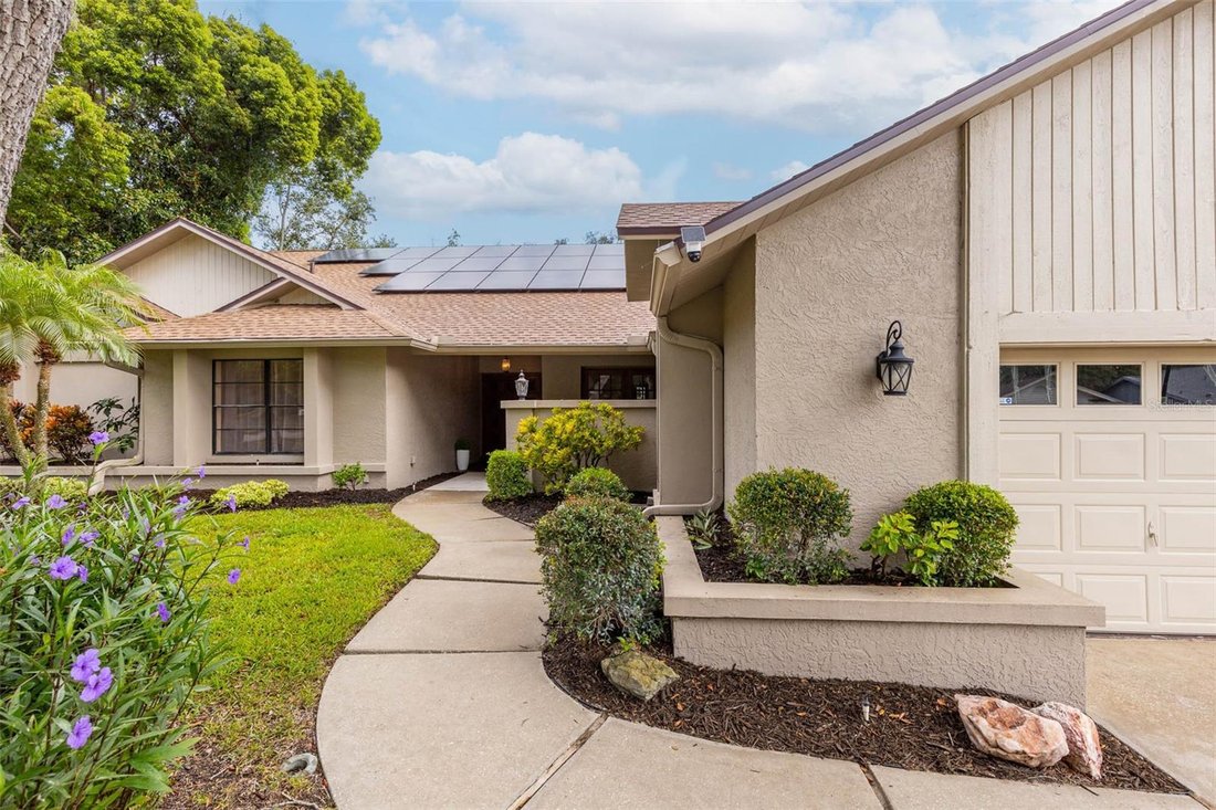 Casa a Palm Harbor, Florida, Stati Uniti 4 - 18561775