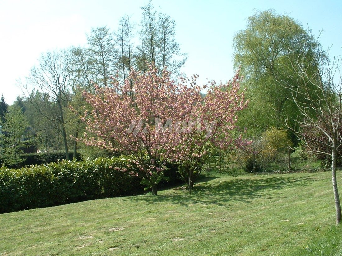Land in Gif-sur-Yvette, Ile-de-France, France 4 - 18564360