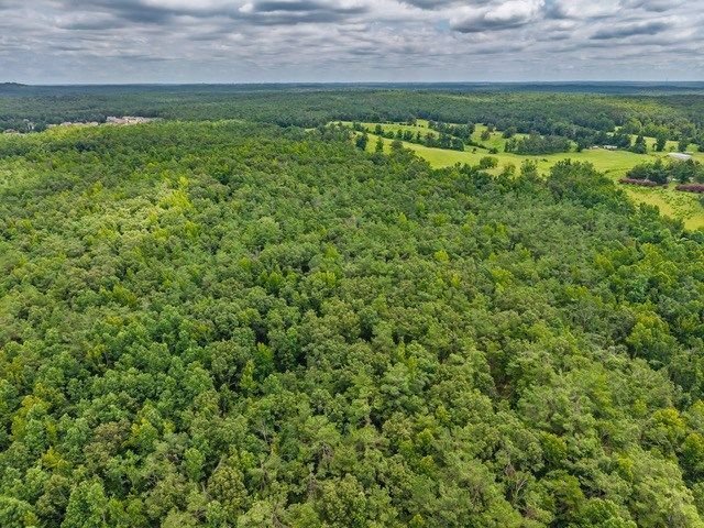 Land in Taylor, Mississippi, United States 5 - 18564168