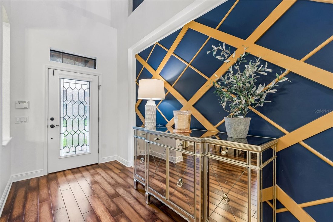 House in Land O' Lakes, Florida, United States 5 - 18565265