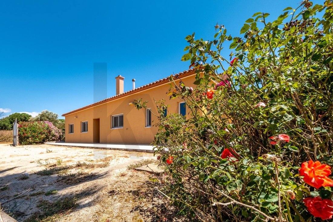 Farm Ranch in Santiago do Cacem, Santa Cruz e Sao Bartolomeu da Serra, Setubal, Portugal 3 - 18565984