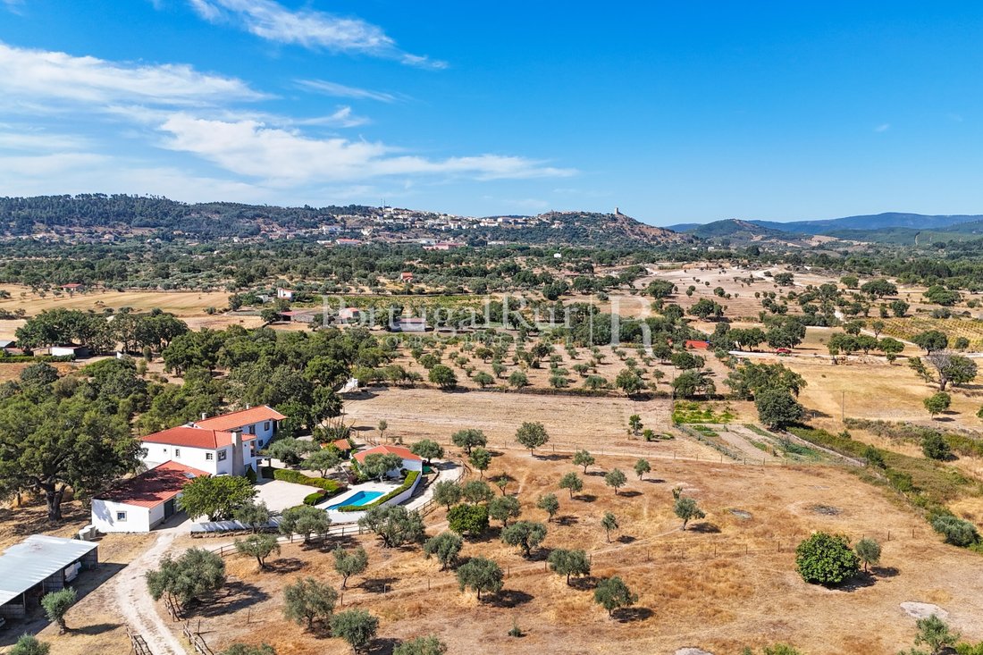 Finca in Penamacor, Castelo Branco District, Portugal 2 - 18560053