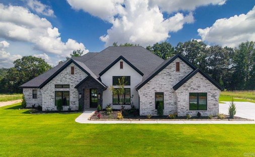 House in Alexander, Arkansas, United States 1