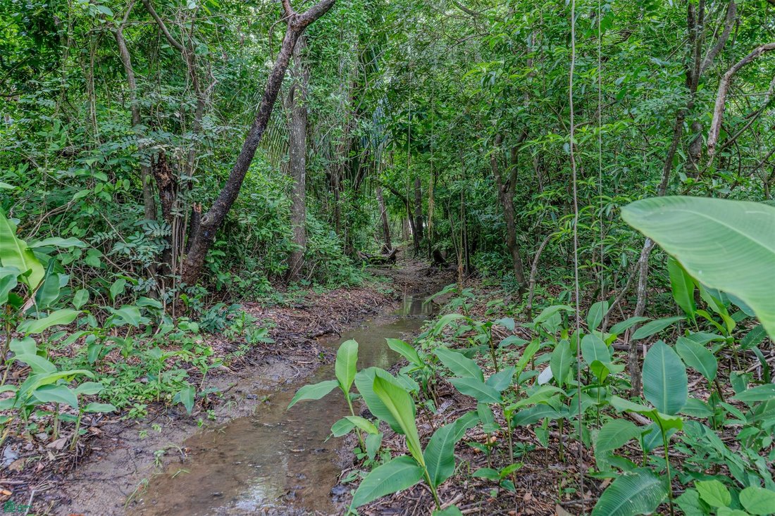 Land in Playa Pelada, Guanacaste Province, Costa Rica 4 - 18561421