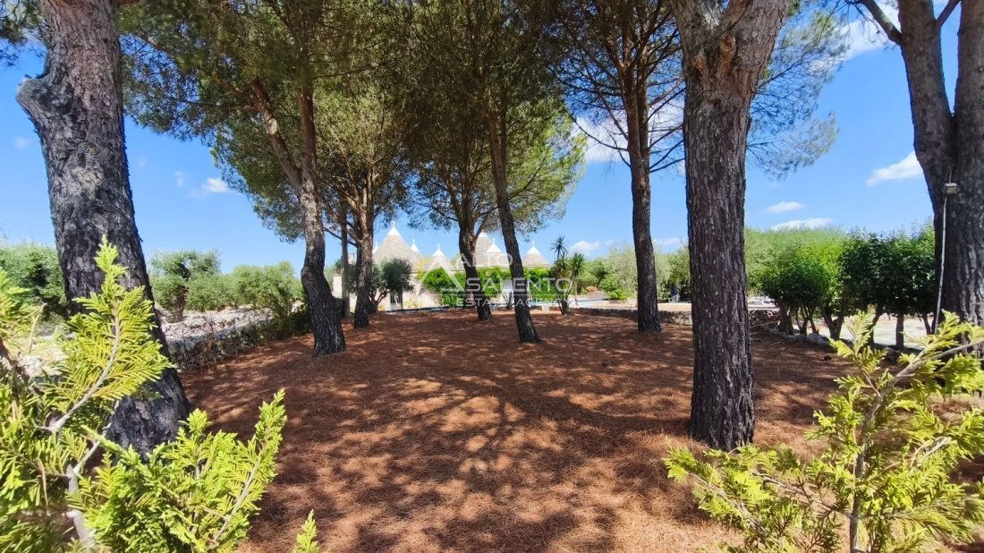 Country House in Ospedale - San Michele - Piazza Crispi, Martina Franca, Apulia 5 - 18564938