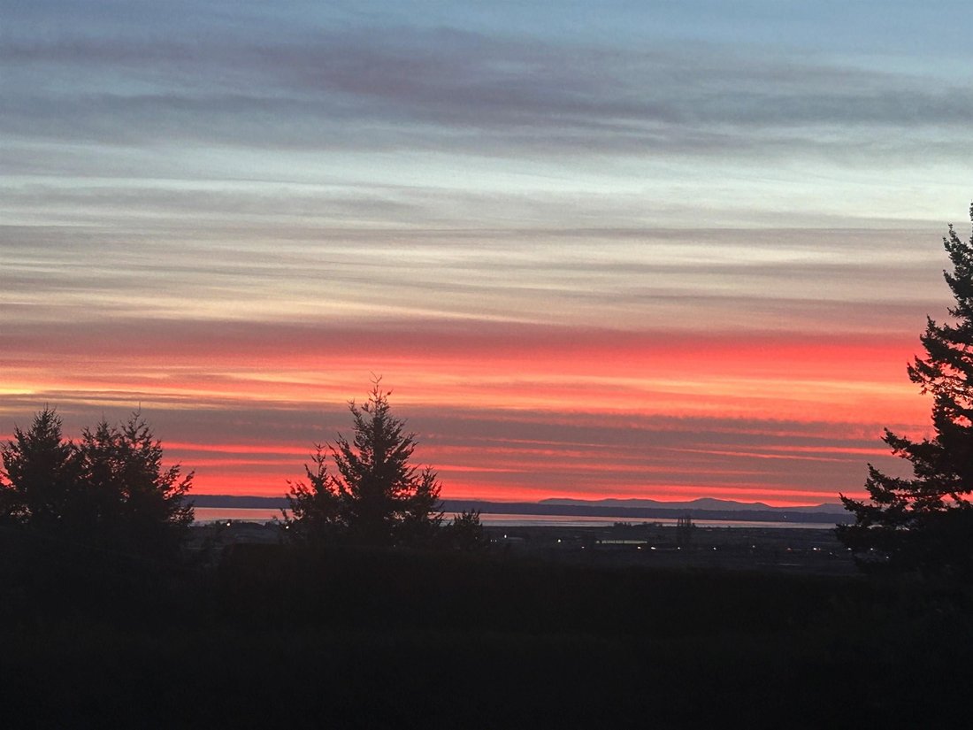 Land in Delta, British Columbia, Canada 5 - 18256993