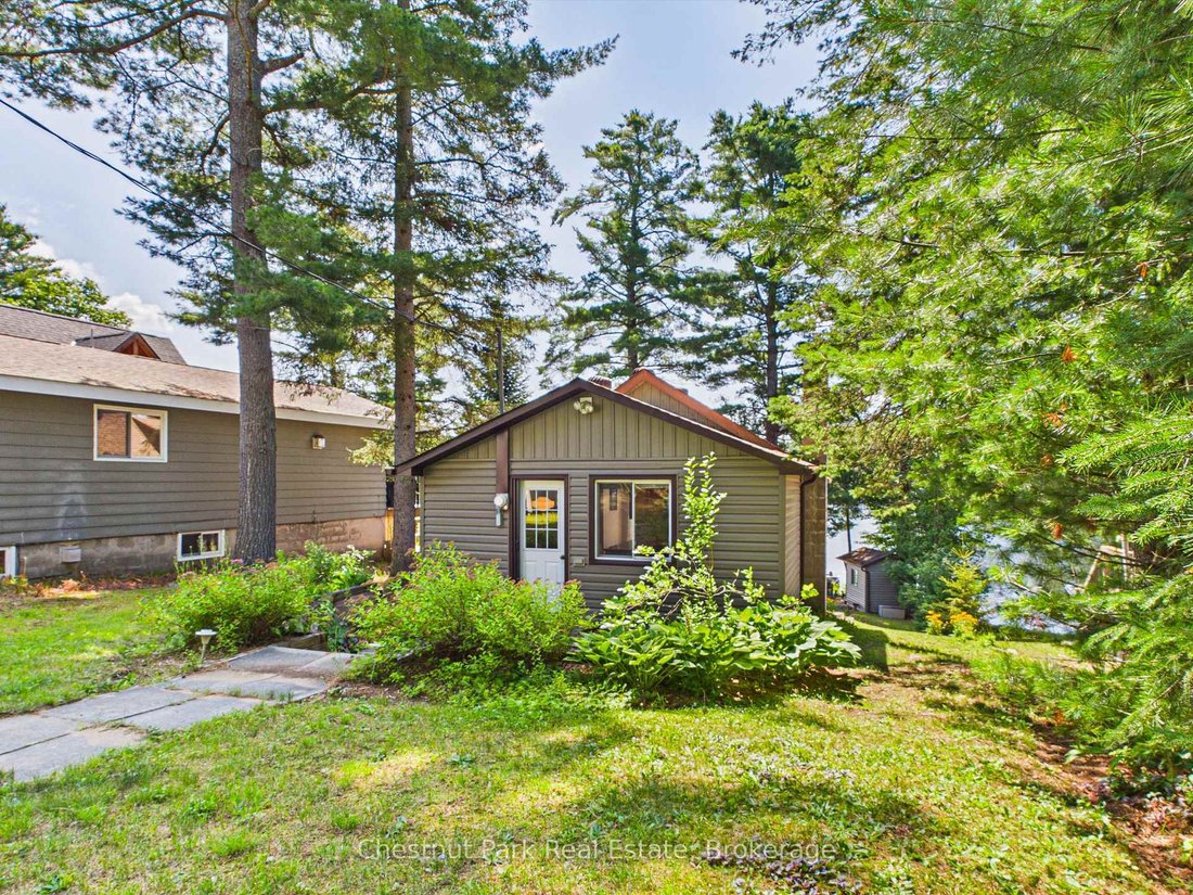 House in Lake of Bays, Ontario, Canada 2 - 18566313