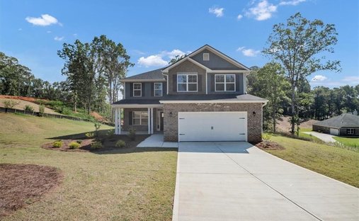 House in Douglasville, Georgia, United States 1