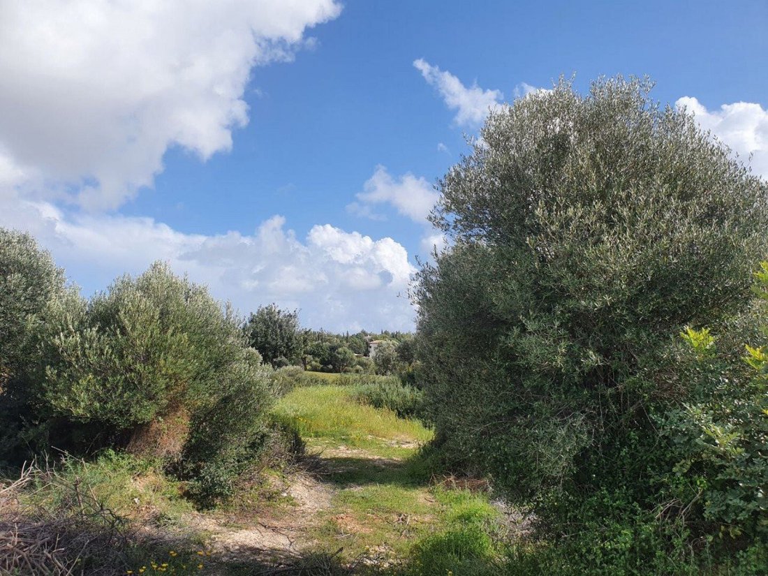 Land in Kouklia, Paphos, Cyprus 2 - 13202590