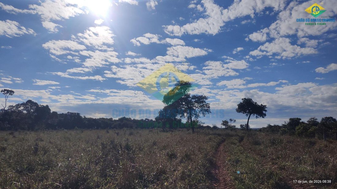 Estate in Campo Grande, State of Mato Grosso do Sul, Brazil 5 - 18566892