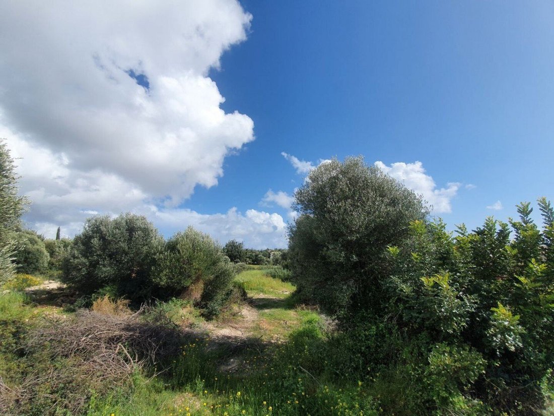 Land in Kouklia, Paphos, Cyprus 1 - 13202590