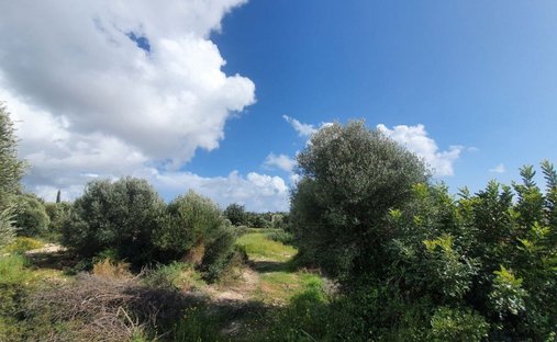 Land in Kouklia, Paphos, Cyprus 1