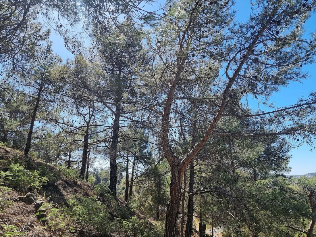 Land in Moniatis, Limassol, Cyprus 5 - 14062569