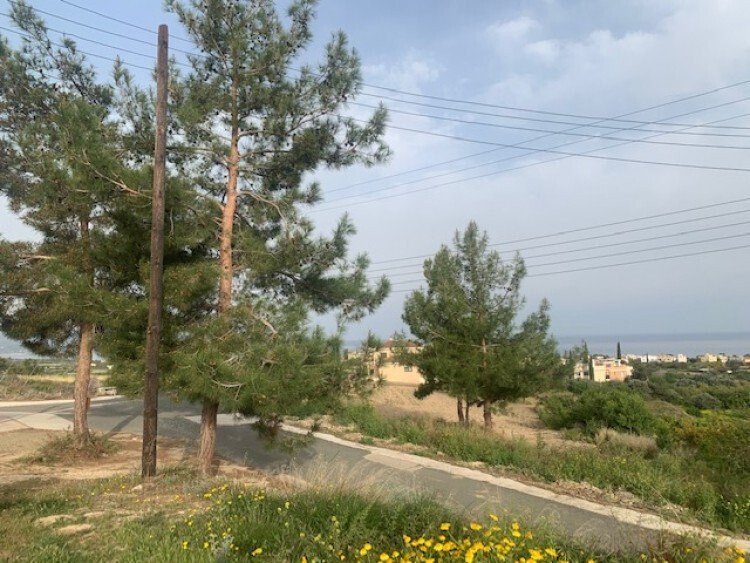Land in Argaka, Paphos, Cyprus 2 - 13202385