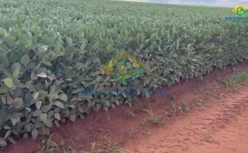 Tenuta in Ribas do Rio Pardo, Mato Grosso del Sul, Brasile 1
