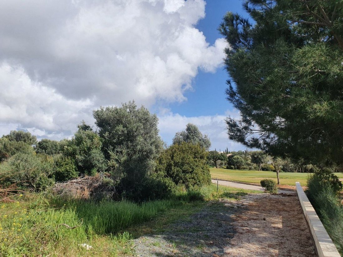 Land in Kouklia, Paphos, Cyprus 4 - 13202590