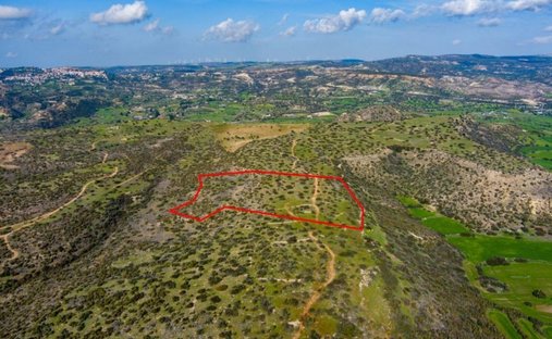Terrain à Pissoúri, Limassol, Chypre 1