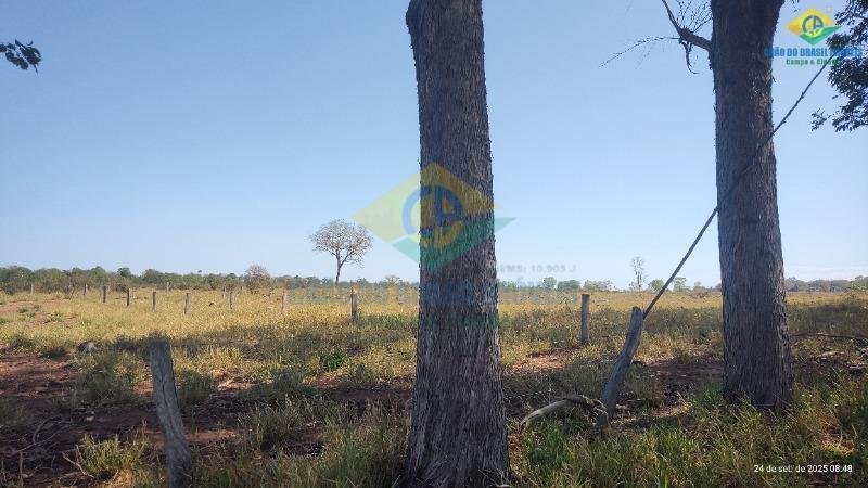 Estate in Conjunto Jose Abrao, State of Mato Grosso do Sul, Brazil 5 - 18559992