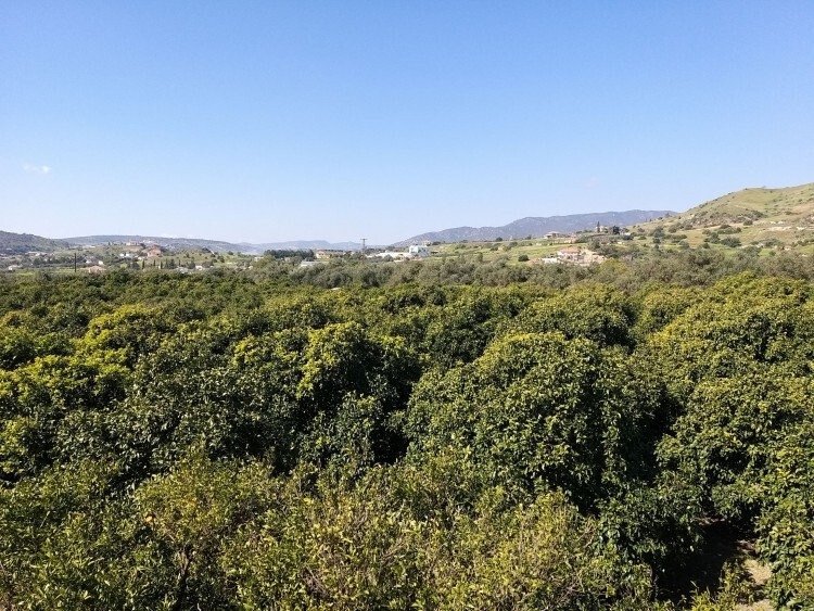 Land in Moni, Limassol, Cyprus 1 - 14403586