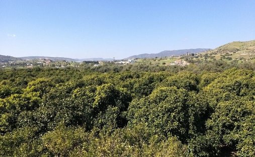 Terreno a Moni, Distretto di Limassol, Cipro 1