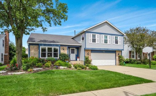 House in Buffalo Grove, Illinois, United States 1