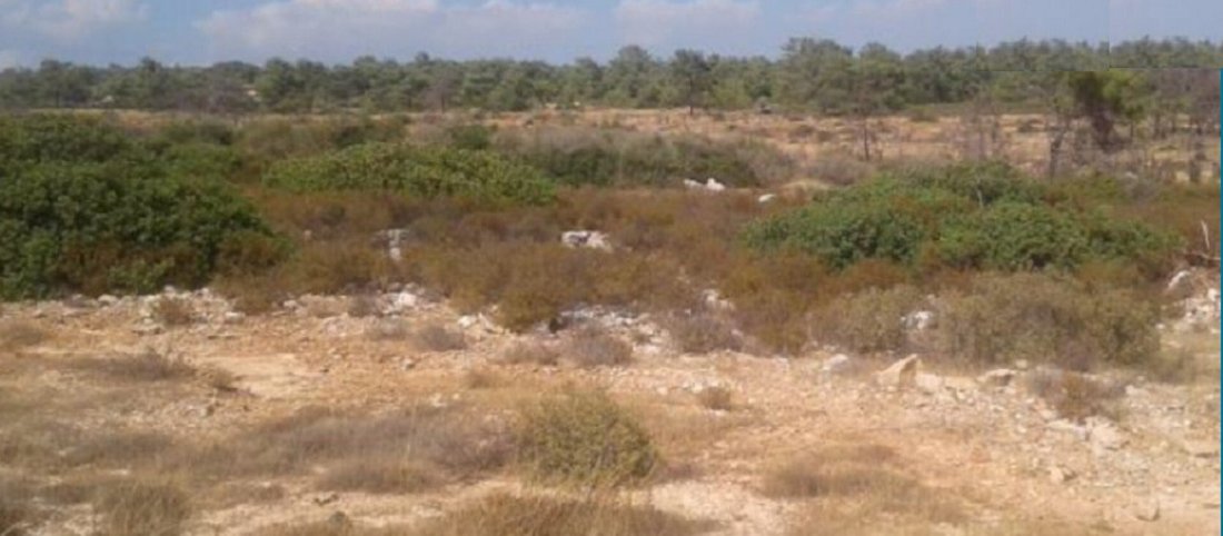 Land in Souni-Zanakia, Limassol, Cyprus 4 - 13202582