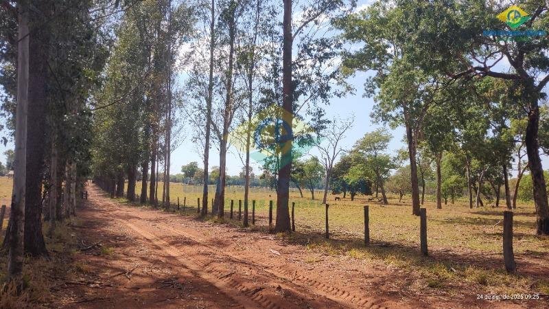 Estate in Conjunto Jose Abrao, State of Mato Grosso do Sul, Brazil 3 - 18559992
