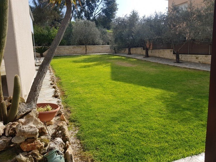 House in Paramytha, Limassol, Cyprus 3 - 13004887
