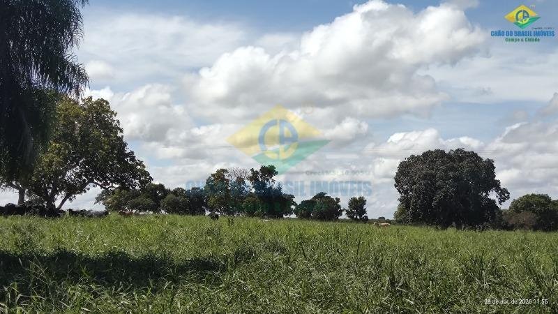 Estate in Rochedo, Rochedo, Brazil 1 - 18559997