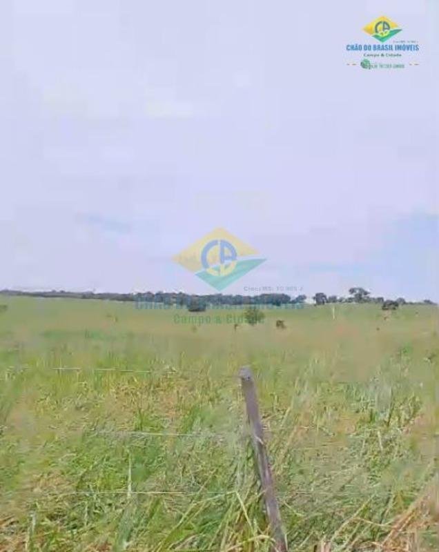 Estate in Figueirão, Figueirão, Brazil 2 - 18560018