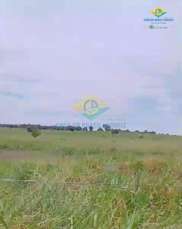 Estate in Figueirão, Figueirão, Brazil 5 - 18560018